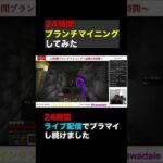 24時間ブランチマイニングした結果…【Minecraft】