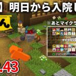 【マイクラ実況】ダイヤ装備全ロスしてしまったので 久々にブランチマイニングします【ウドンクラフト】#43