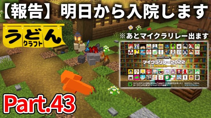 【マイクラ実況】ダイヤ装備全ロスしてしまったので 久々にブランチマイニングします【ウドンクラフト】#43