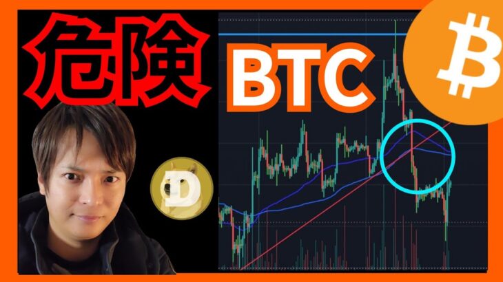 【危険】続落前の反発です。仮想通貨ニュース+ビットコイン(BTC) ドージコイン(DOGE)チャート分析