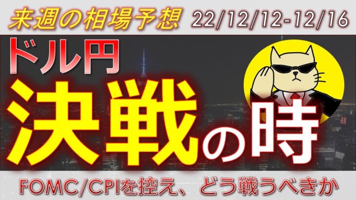【ドル円最新予想】ドル円はまだ上昇余地あり！FOMC・CPIでドルが買われる条件とは？簡単解説！来週の為替相場予想と投資戦略ご紹介！FOMC・CPI・小売売上高に注目！ (22/12/12週)【FX】