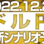 FXドル円最新シナリオ予想＆全エントリー先出し解説 ［2022/12/26］※2倍速推奨