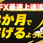 【初心者向け】FXが確実に上手くなる方法とロードマップ