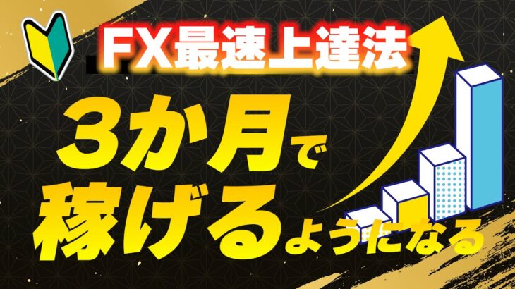 【初心者向け】FXが確実に上手くなる方法とロードマップ