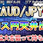【新規エントリー成功♪】短期天井で今年は持ち越し♪《FX・相場分析》
