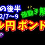 【FX】具体的数値を使いわかりやすく解説