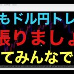 【ドル円FX雑談ライブ】来年は円高が加速するか！？ということはショートをしていれば儲かるか！？為替は予想が難しいが、攻略法はある！それにしてもあの力強い円安はどこにいったのか？いつの間にか130円。