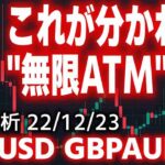 【FX】これが出来れば利益無限大｜ポンドドル、ポンドオージードルチャート分析予想【GBPUSD GBPAUD】