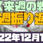 ゲムフォレックス(海外FX業者)がSNSで炎上 今週の株為替仮想通貨振り返りと来週のFX戦略 2022年12月10日