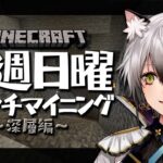 【Minecraft】ブランチマイニング場～深層編～【#猫瀬乃しん/のりプロ所属】