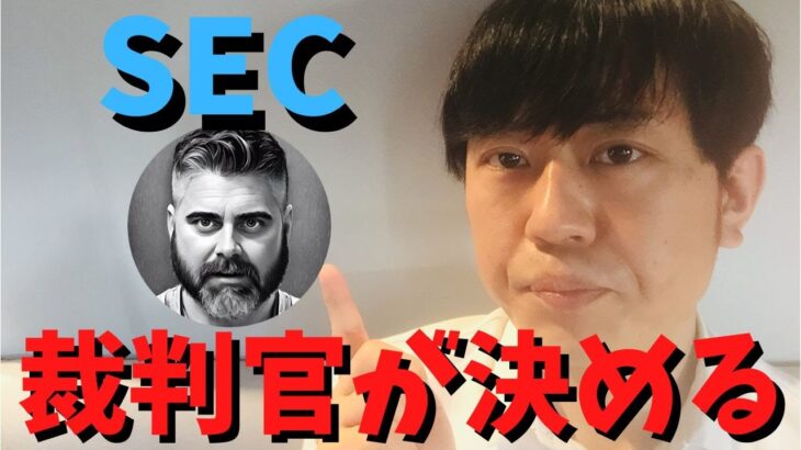 暗号通貨トップユーチューバーが「SECが訴訟で証券と呼んでも証券ではない。裁判官の同意が必要」とコメント。裁判官は政府機関であるSECに事実に関係なく従うのではないか？などの意見も