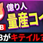 【暗号資産SHIB】億り人量産コインSHIBがキテイル【仮想通貨】【暗号通貨】【投資】【副業】【初心者】