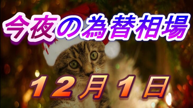 【TAKA FX】ドル、円、ユーロ、ポンド、豪ドルの為替相場の前日の動きをチャートから解説。12月1日
