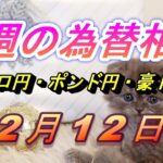 【TAKA FX】ユーロ円、ポンド円、豪ドル円の今週の為替相場の動きと来週の展望をチャートから解説。12月12日～