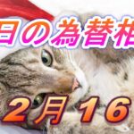 【TAKA FX】ドル、円、ユーロ、ポンド、豪ドルの為替相場の前日の動きをチャートから解説。12月16日