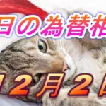 【TAKA FX】ドル、円、ユーロ、ポンド、豪ドルの為替相場の前日の動きをチャートから解説。12月2日