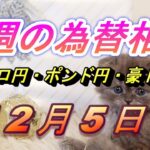 【TAKA FX】ユーロ円、ポンド円、豪ドル円の今週の為替相場の動きと来週の展望をチャートから解説。12月5日～