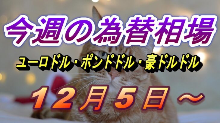 【TAKA FX】ユーロドル、ポンドドル、豪ドルドルの今週の為替相場の動きと来週の展望をチャートから解説。12月5日～