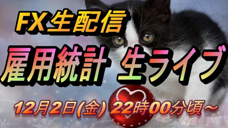 【TAKA FX】雇用統計生ライブ　FX生配信　12月2日（金）22時00頃～