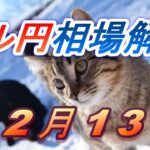 【TAKA FX】ドル円為替相場の前日の動きをチャートから解説。日経平均、NYダウ、金チャートも。12月13日