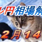 【TAKA FX】ドル円為替相場の前日の動きをチャートから解説。日経平均、NYダウ、金チャートも。12月14日