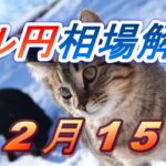 【TAKA FX】ドル円為替相場の前日の動きをチャートから解説。日経平均、NYダウ、金チャートも。12月15日
