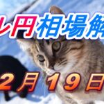 【TAKA FX】ドル円為替相場の今週の動きと来週の展望をチャートから解説。日経平均、NYダウ、金チャートも。12月19日～