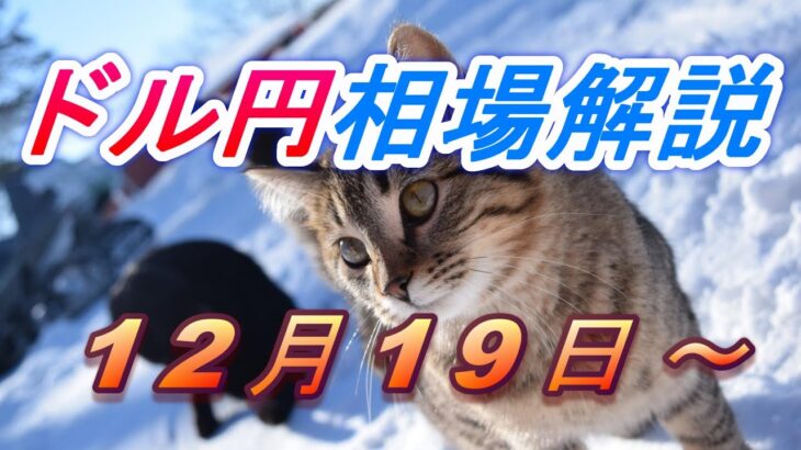 【TAKA FX】ドル円為替相場の今週の動きと来週の展望をチャートから解説。日経平均、NYダウ、金チャートも。12月19日～