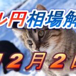 【TAKA FX】ドル円為替相場の前日の動きをチャートから解説。日経平均、NYダウ、金チャートも。12月2日