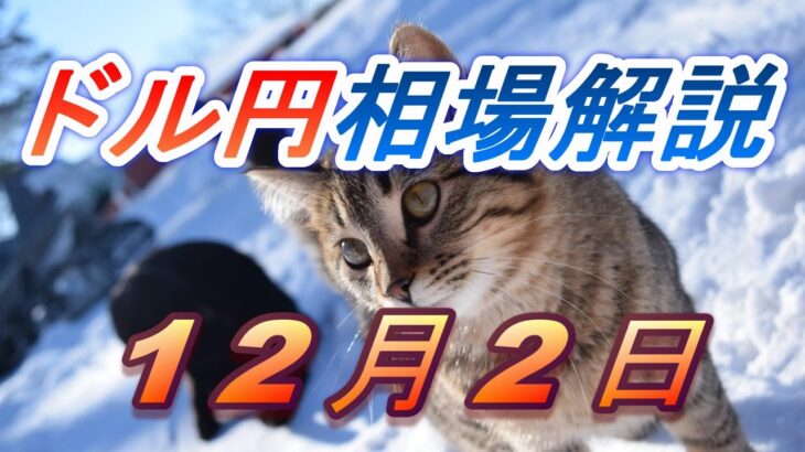 【TAKA FX】ドル円為替相場の前日の動きをチャートから解説。日経平均、NYダウ、金チャートも。12月2日