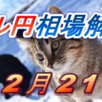 【TAKA FX】ドル円為替相場の前日の動きをチャートから解説。日経平均、NYダウ、金チャートも。12月21日