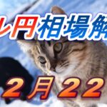 【TAKA FX】ドル円為替相場の前日の動きをチャートから解説。日経平均、NYダウ、金チャートも。12月22日