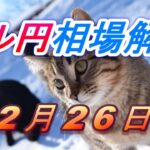 【TAKA FX】ドル円為替相場の今週の動きと来週の展望をチャートから解説。日経平均、NYダウ、金チャートも。12月26日～