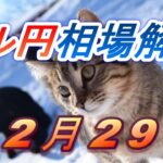 【TAKA FX】ドル円為替相場の前日の動きをチャートから解説。日経平均、NYダウ、金チャートも。12月29日