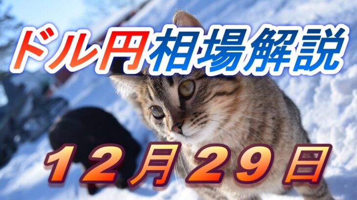 【TAKA FX】ドル円為替相場の前日の動きをチャートから解説。日経平均、NYダウ、金チャートも。12月29日
