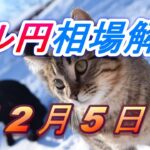 【TAKA FX】ドル円為替相場の今週の動きと来週の展望をチャートから解説。日経平均、NYダウ、金チャートも。12月5日～