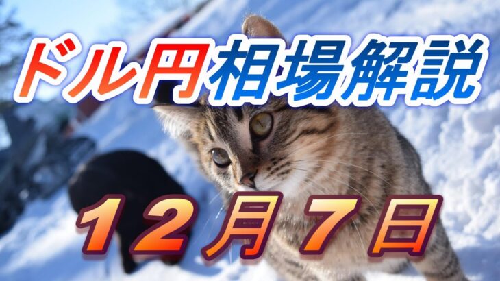 【TAKA FX】ドル円為替相場の前日の動きをチャートから解説。日経平均、NYダウ、金チャートも。12月7日