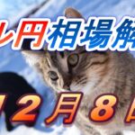 【TAKA FX】ドル円為替相場の前日の動きをチャートから解説。日経平均、NYダウ、金チャートも。12月8日