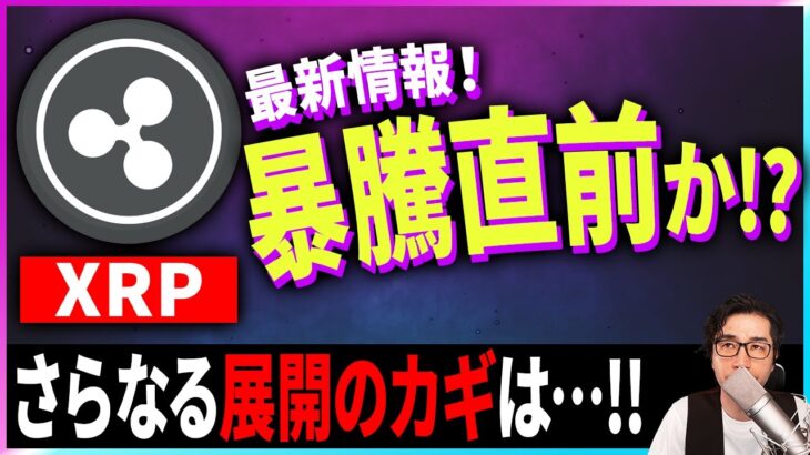 【暗号資産XRP】リップル最新情報！裁判は有利で進む！【仮想通貨】【暗号通貨】【投資】【副業】【初心者】