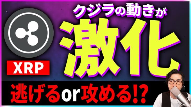 【暗号資産XRP】リップルのクジラが過去最高に到達【仮想通貨】【暗号通貨】【投資】【副業】【初心者】