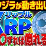 【リップル(XRP)】爆上げ間近！！リップル年末相場分析【仮想通貨】【ripple】【swell】【裁判】【sec】【12月】