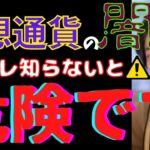 【お金の勉強】仮想通貨の闇…コレを知らないでやってる人は危険です！仮想通貨の今後についても話します。【ひろゆき/リップル/イーサリアム/ビットコイン/モナコイン】