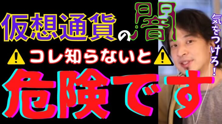 【お金の勉強】仮想通貨の闇…コレを知らないでやってる人は危険です！仮想通貨の今後についても話します。【ひろゆき/リップル/イーサリアム/ビットコイン/モナコイン】