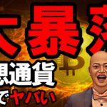 仮想通貨 大暴落の予兆 – これを知らなければ全資産溶かします！