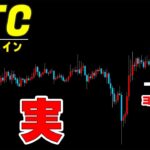 【仮想通貨ビットコイン】しばらく暴落しない