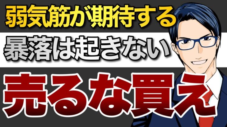 弱気筋が期待する暴落は起きない！売るな買え！