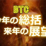 ビットコイン：今年の総括と来年の展望