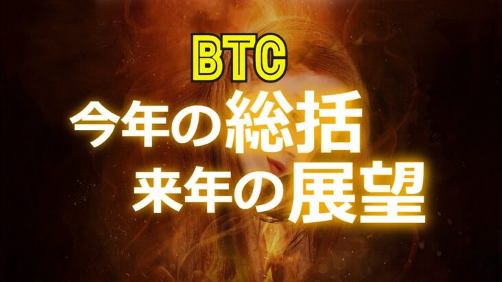 ビットコイン：今年の総括と来年の展望