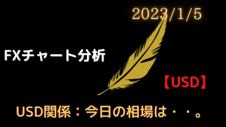 【環境認識】1月 5日（木）【FX】【チャート分析】