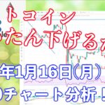【社会人向け】【投資・暗号資産】2023年1月16日(月)19:00チャート分析